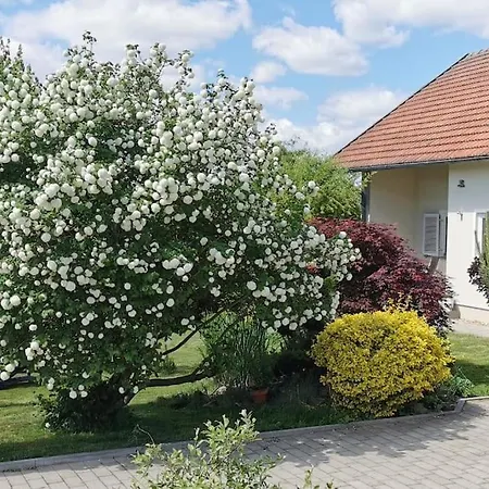 Ruhe Oase Im Bayerischen Wald * Traitsching