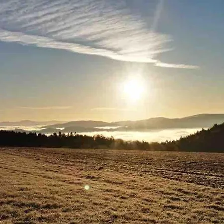 아파트 Ruhe Oase Im Bayerischen Wald Traitsching