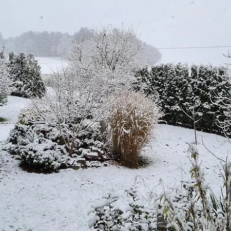 Ruhe Oase Im Bayerischen Wald Traitsching