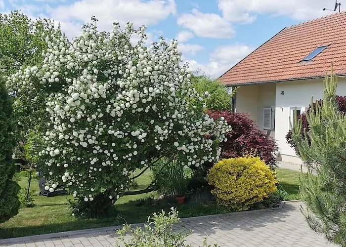 Ruhe Oase Im Bayerischen Wald * Traitsching