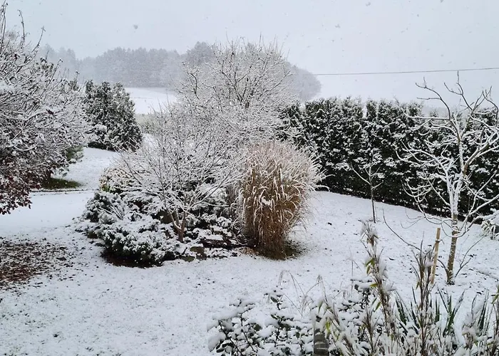 Ruhe Oase Im Bayerischen Wald Traitsching